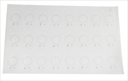 dual frequency rfid inlay