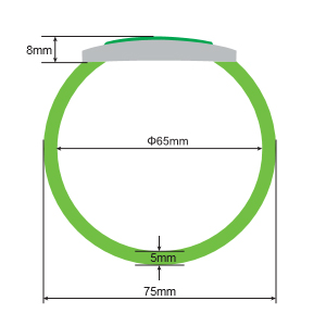 OP006 RFID Plastic Wristbands Size